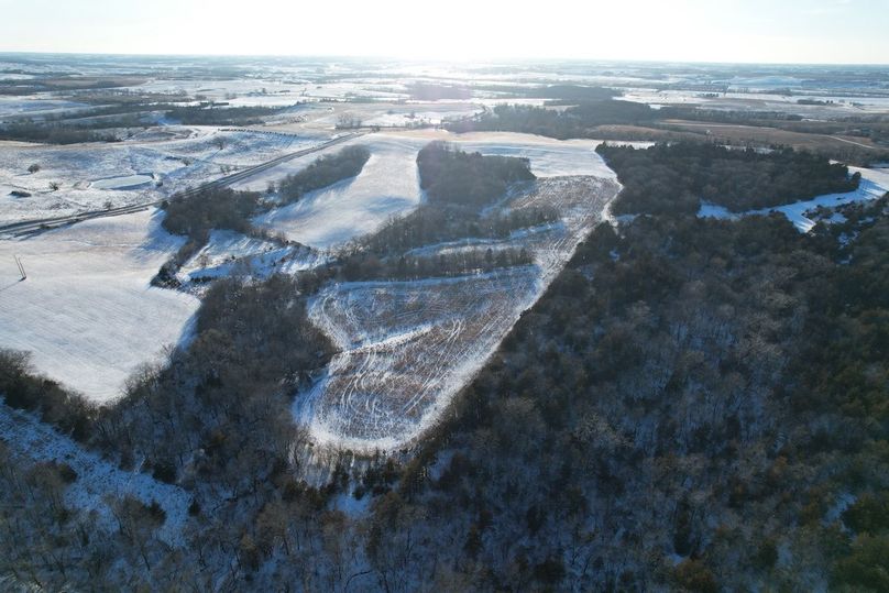 DJI_0445