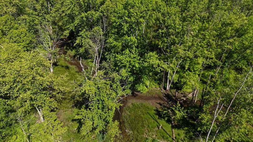 15 DJI_20260531040851_0055_D