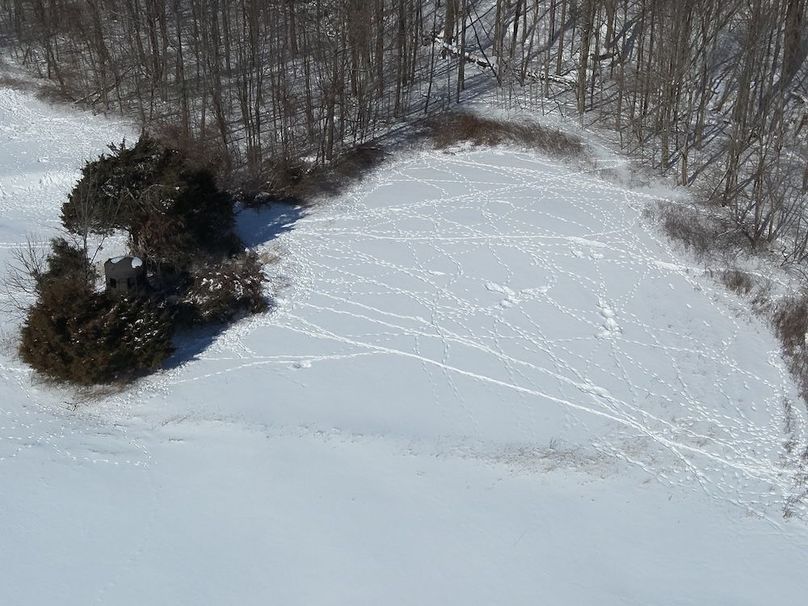 DJI_20260207115438_0014_Z