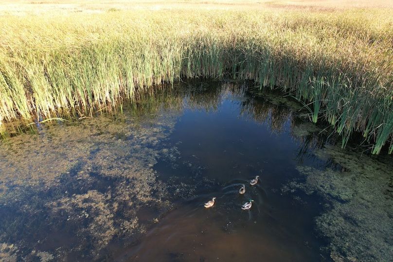 dji_fly_20250922_180912_971_1758582764084_photo