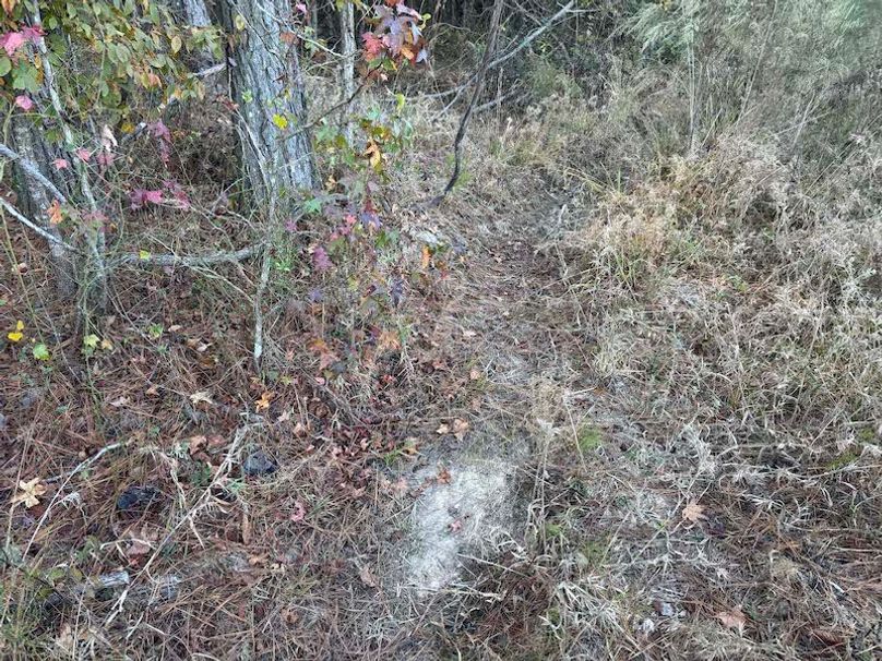 Jeff 11720251111_0194