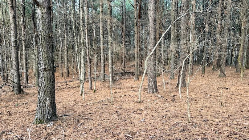 Grayson 48.195 Johnson16