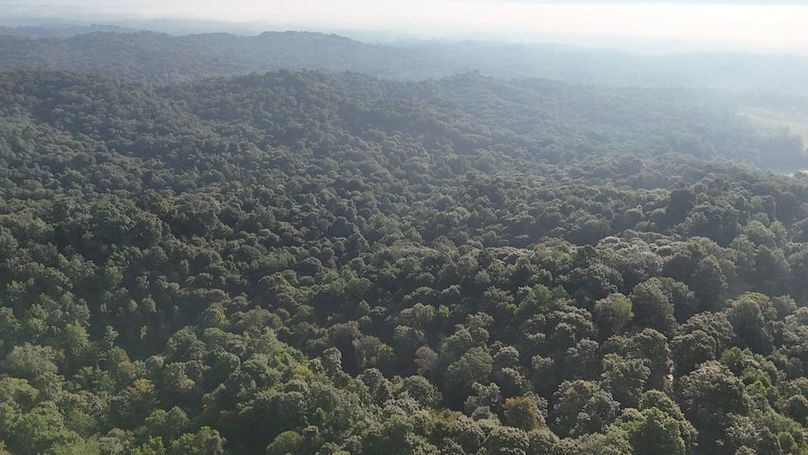 DJI_20250808085025_0711_D