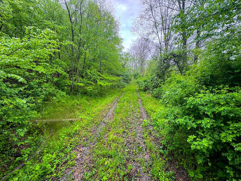 Lewis, WV 34.74 AC Graham-17