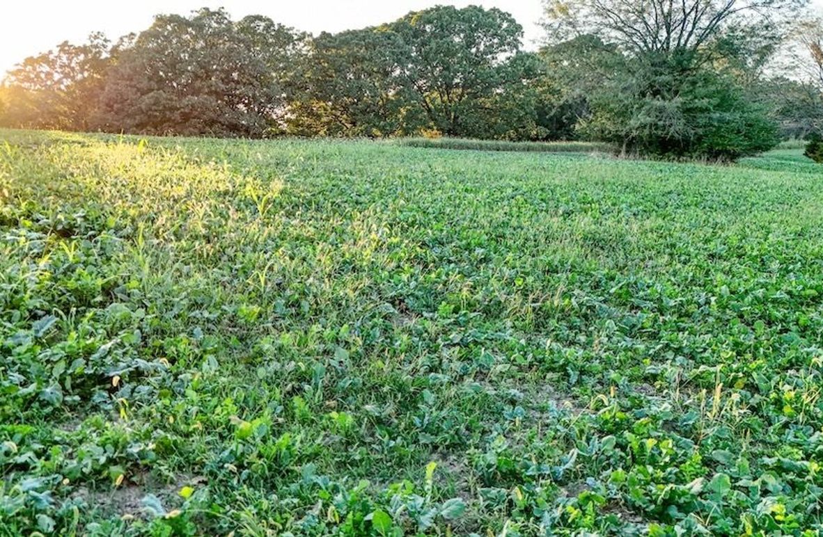 DJI_20251010172728_0006_D