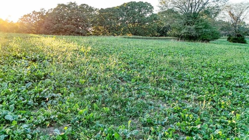 DJI_20251010172728_0006_D