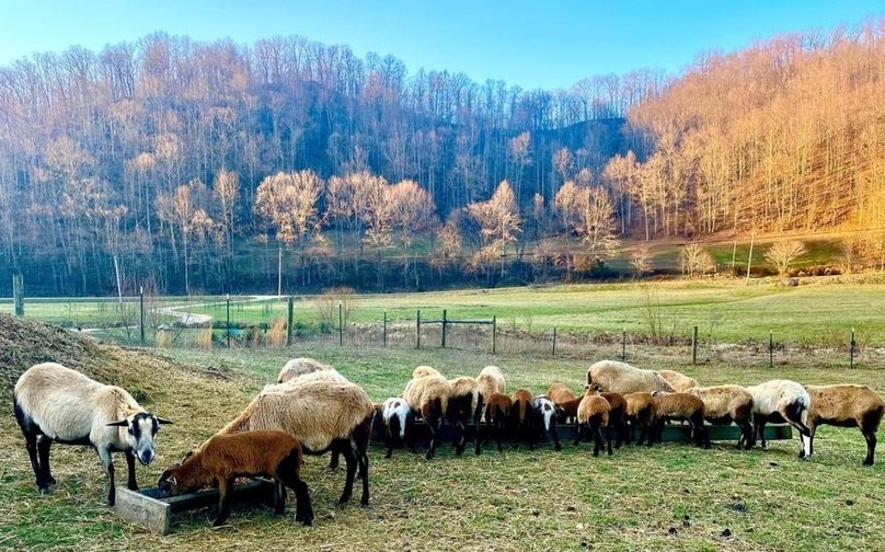 009 some of our farm family