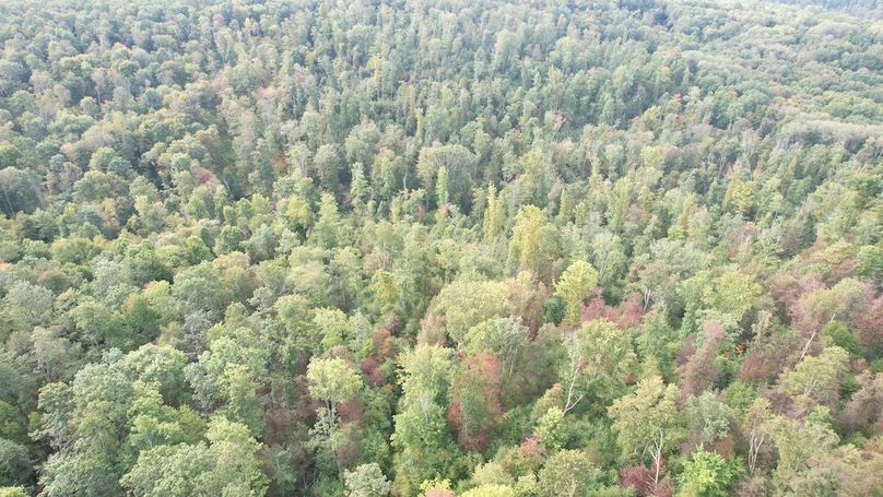 dji_fly_20240919_100942_681_1726755196024_photo