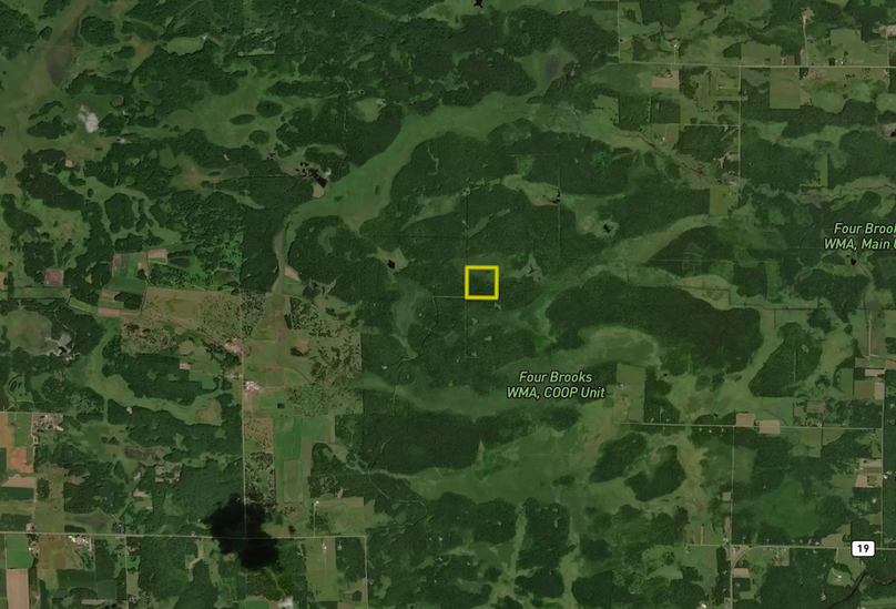 Screenshot 2024-03-18 at 2.45.59 PM copy