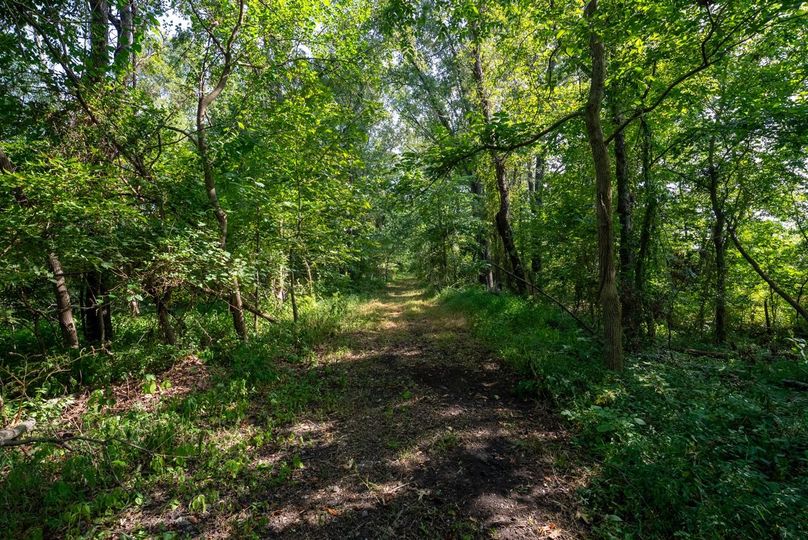 Copy of DSC06192 Large