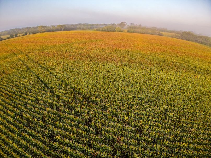 DJI_20250906072950_0033_D