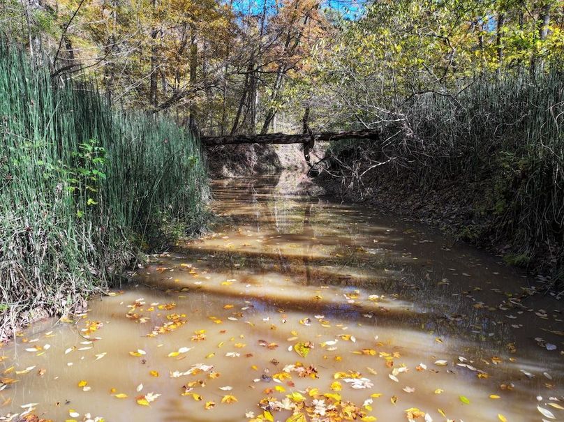 Copy of DJI_20251031134436_0796_D