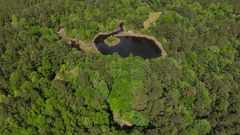 DJI_20260417163725_0008_D