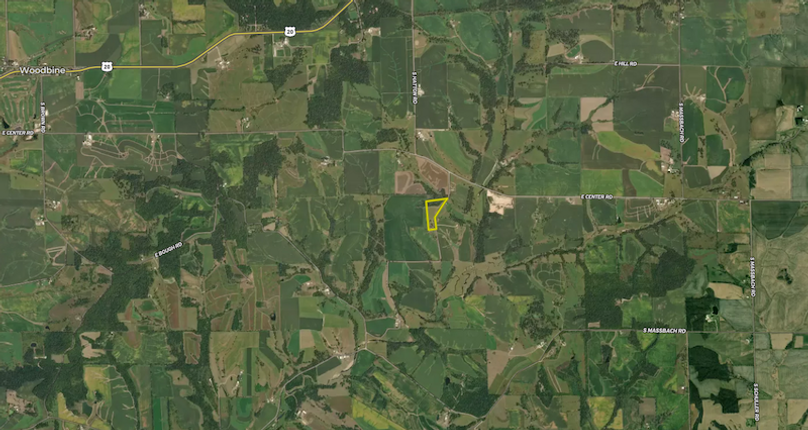 Screenshot 2026-02-10 at 4.25.29 PM