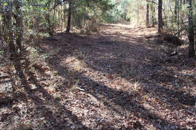 D7DA8433-1DE4-47F0-8A5D-5E7F9532224C_1_105_c