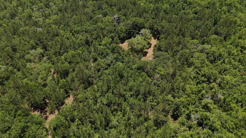 DJI_20240516124319_0018_D