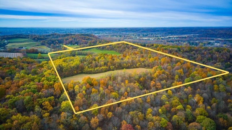 1-Untitled design-110