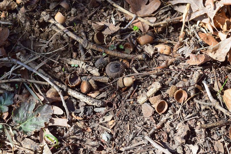 DSC_0264_inPixio (2)