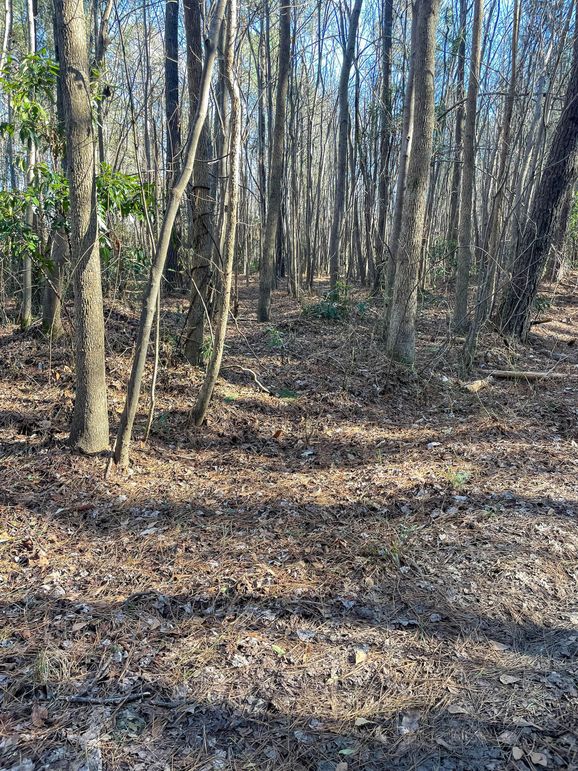 Pender NC 382 - Edits-57