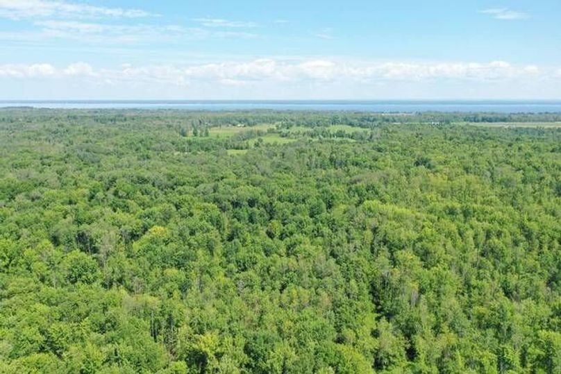 1 Main Photo Lakeport Road