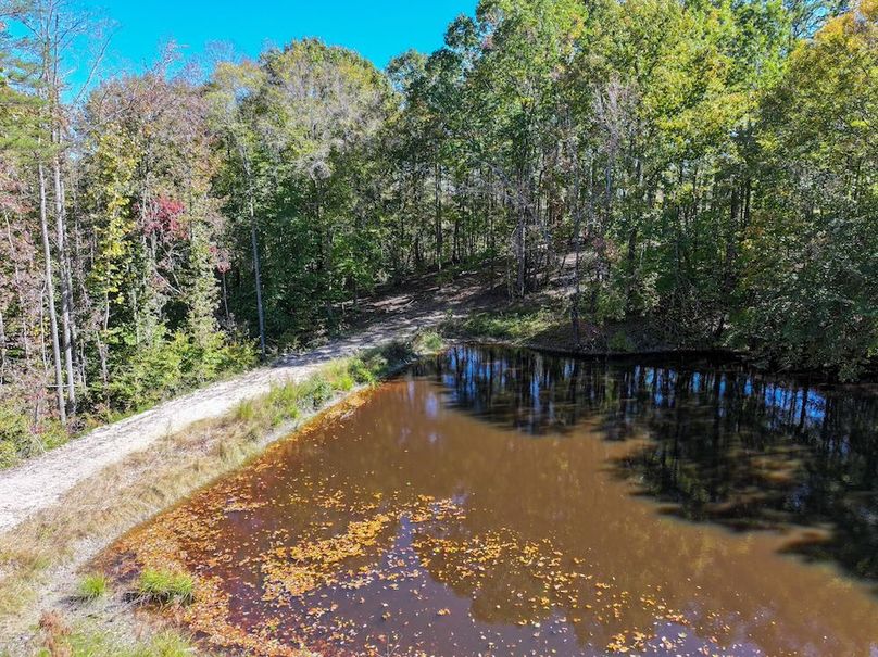 dji_fly_20251020_133542_0197_1761002489359_photo