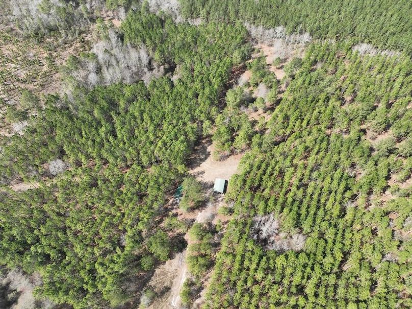dji_fly_20240227_124734_137_1709056297930_photo