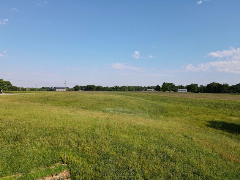 dji_fly_20230531_092644_403_1685539612984_photo