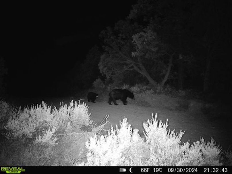 860516060102641-100-2-09302024213242-V-W1000145