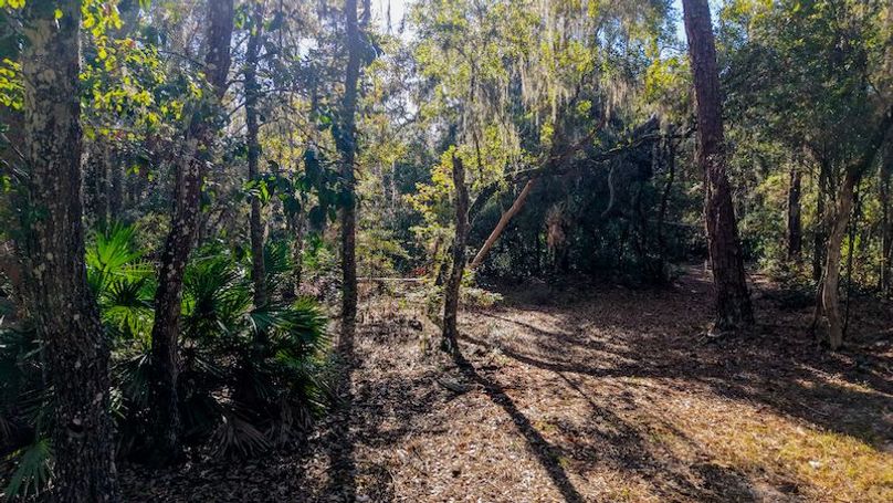 Copy of DJI_20251203231545_0675_D