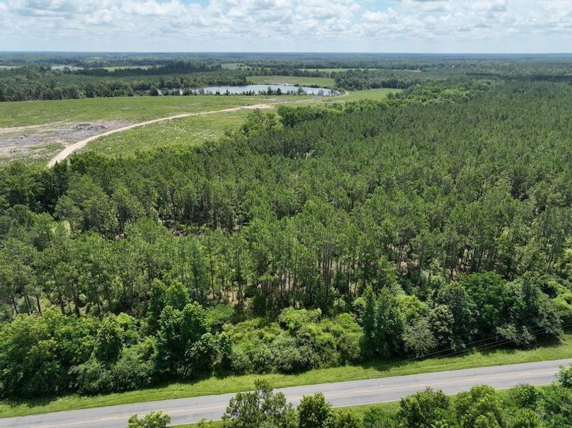 dji_fly_20250619_120616_962_1750349234218_photo