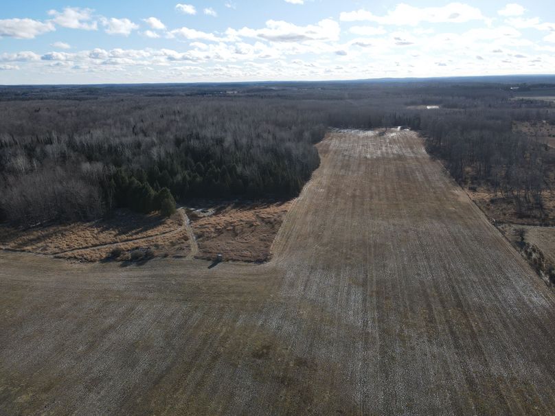 DJI_0845