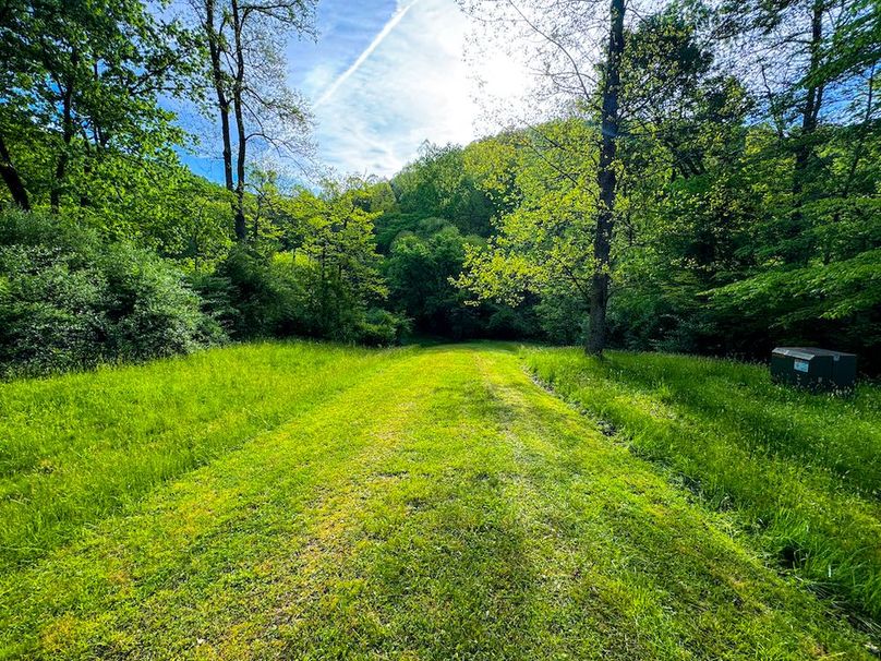 Wirt, WV 145.69 AC 273 Wildflower-41