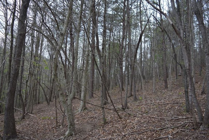 DSC_2541
