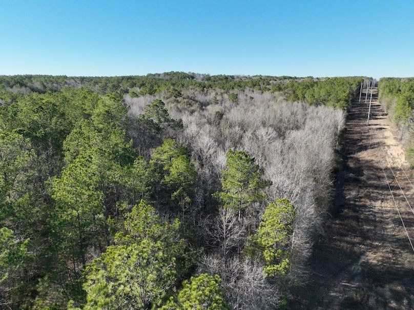 41477D37-0E19-462A-B92E-4613F4A1EC07_1_105_c