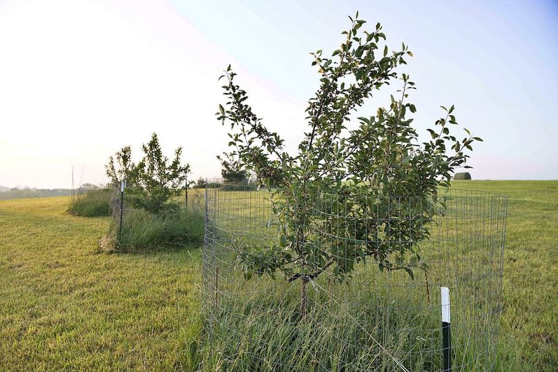 xCX9A4156 (24)