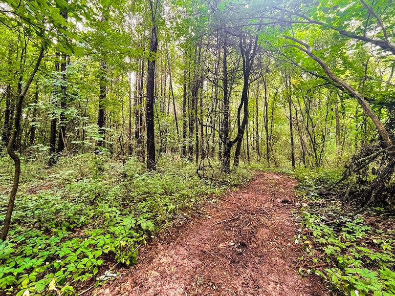 510DF3DE-4515-4A8A-B8A4-289CDB192C57