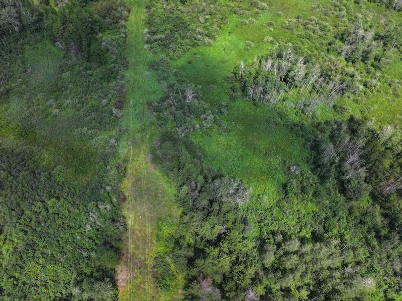 dji_fly_20240801_131056_0132_1722616714062_photo