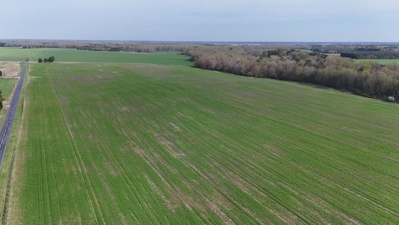 6_dji_fly_20260401_162314_0048_1775137479627_photo