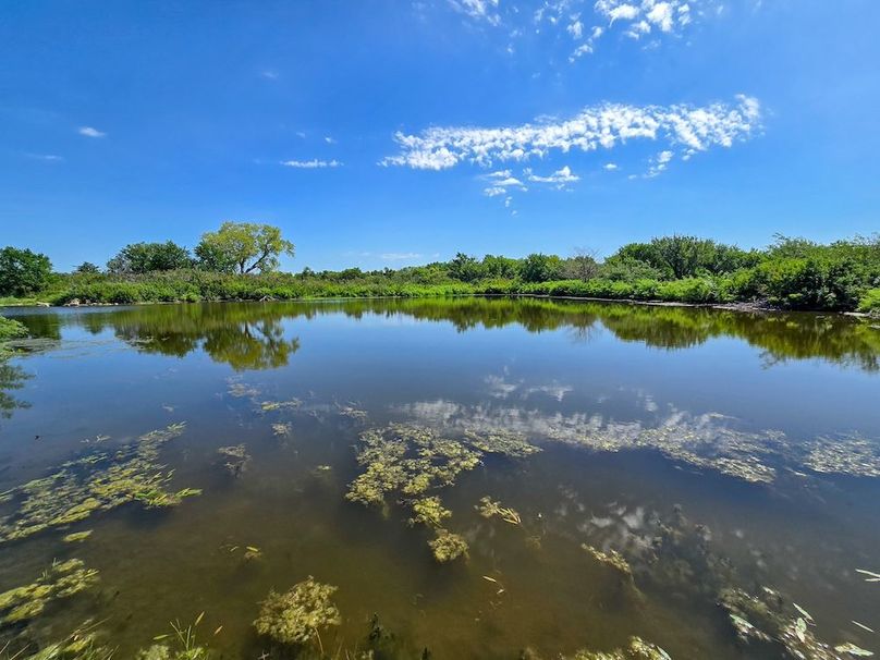 Copy of 20250729_113520