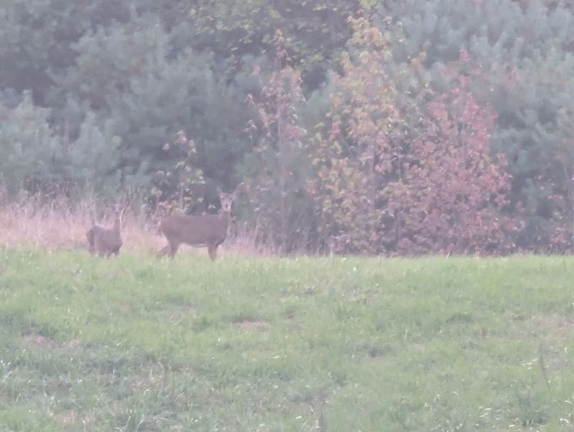 PXL_20251001_230553600