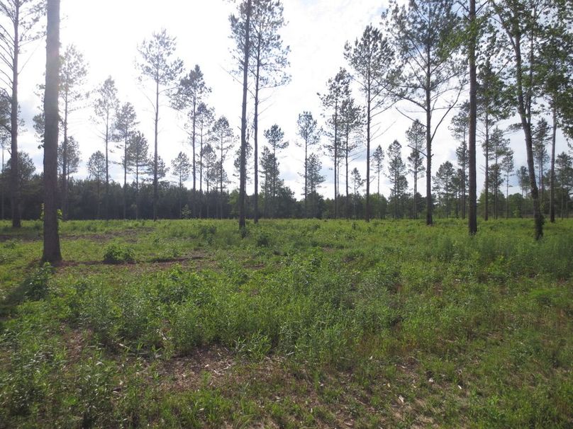 D2AACA9F-5934-4187-8596-BC865C1E1A42_1_105_c