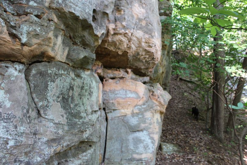 007 mother natures attention to detail is amazing