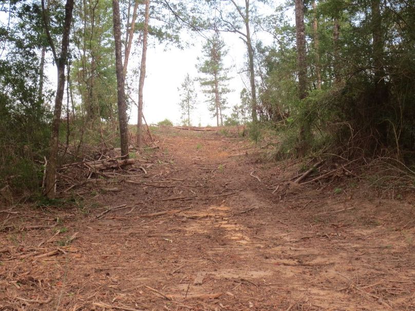 C4FAB4AF-B36A-48CF-935F-77DE83E653D9_1_105_c