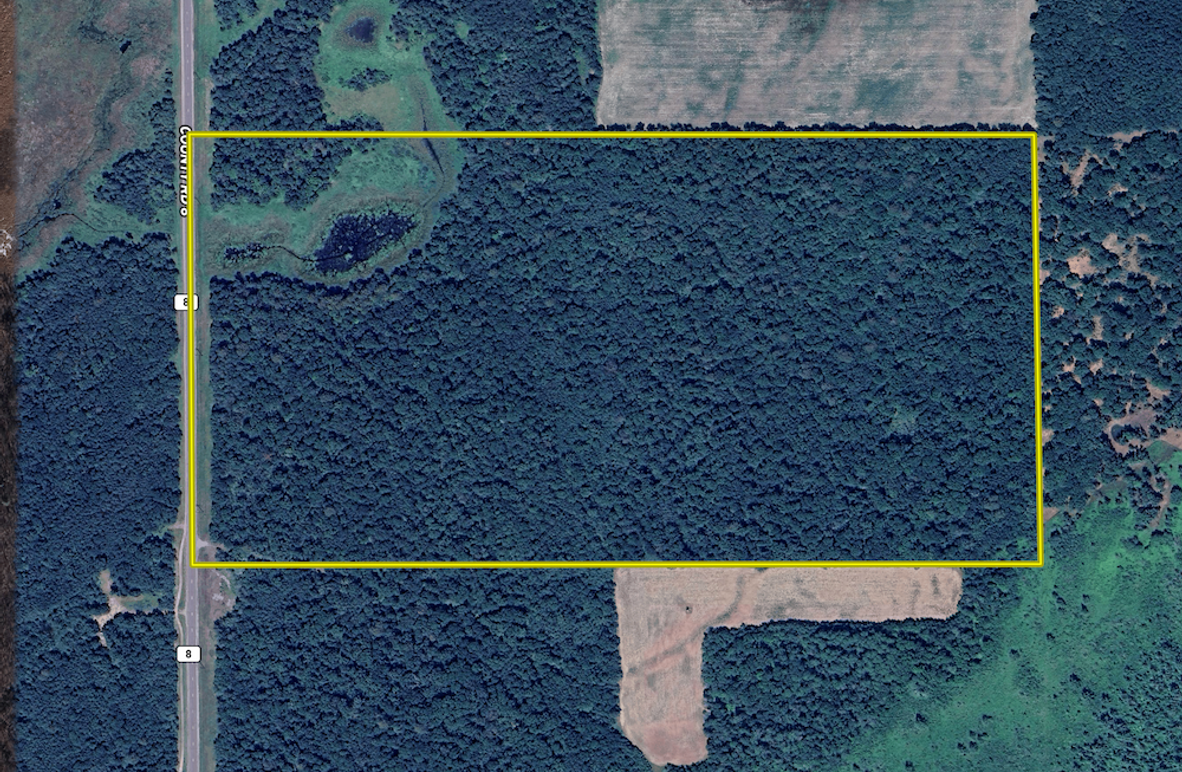 Screenshot 2025-07-13 at 7.40.38 AM