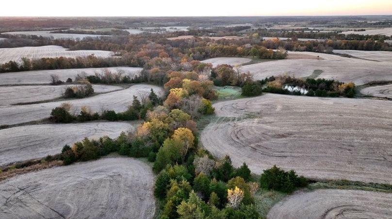 Screenshot 2025-11-20 at 10.02.14 AM