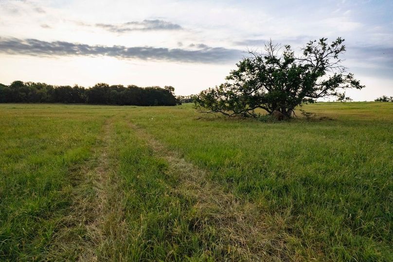 Lamar County TX 112-12