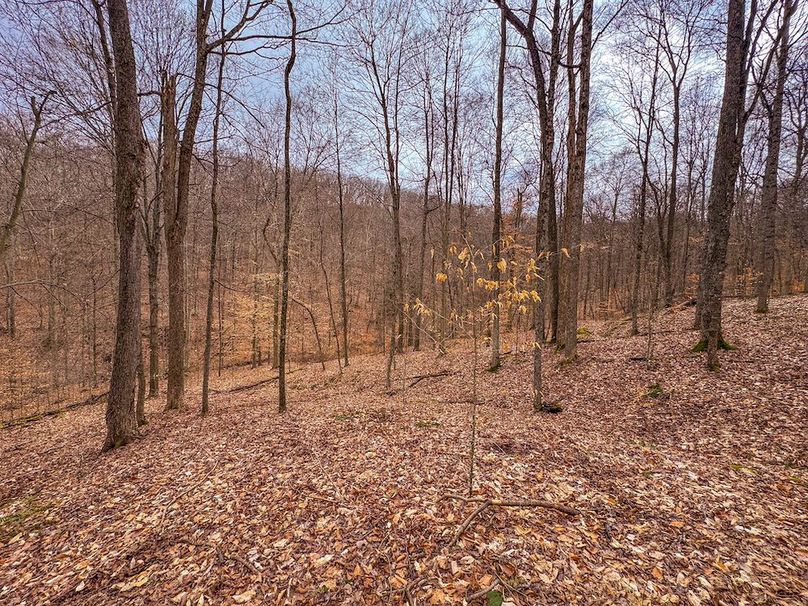 Tyler, WV 90 AC Burkhart-22