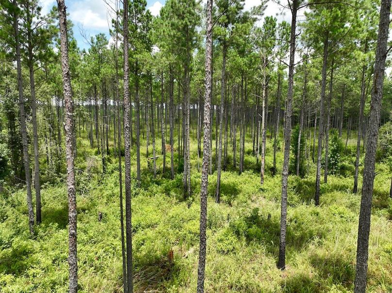 dji_fly_20240710_135918_569_1720634522991_photo