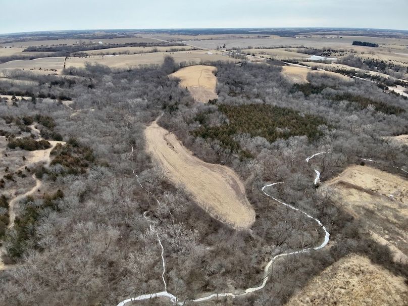 BCC9B419-3E65-48B6-A6FF-D94F73DEA00E_1_201_a