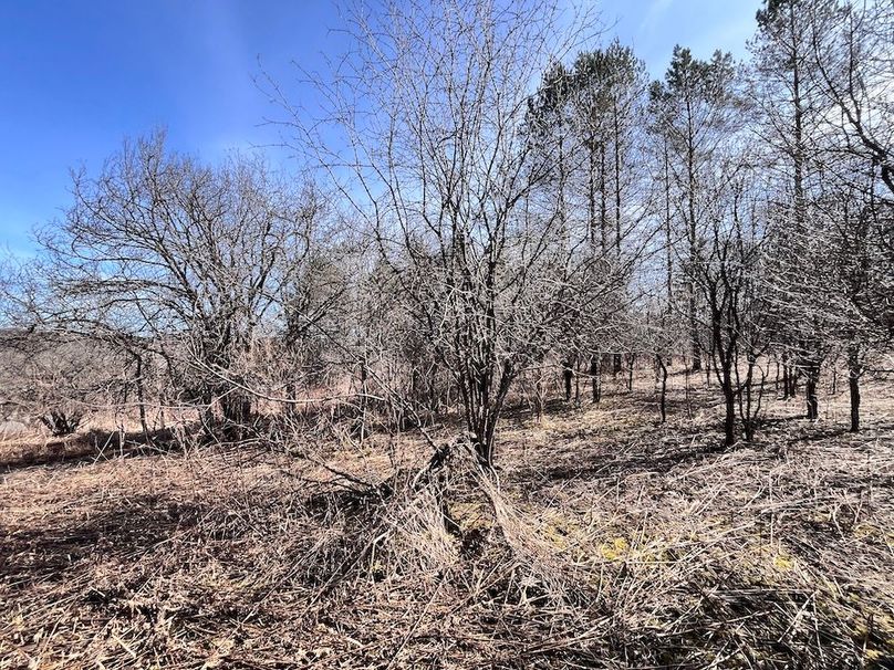 Lewis_26_Somberg Photo 20